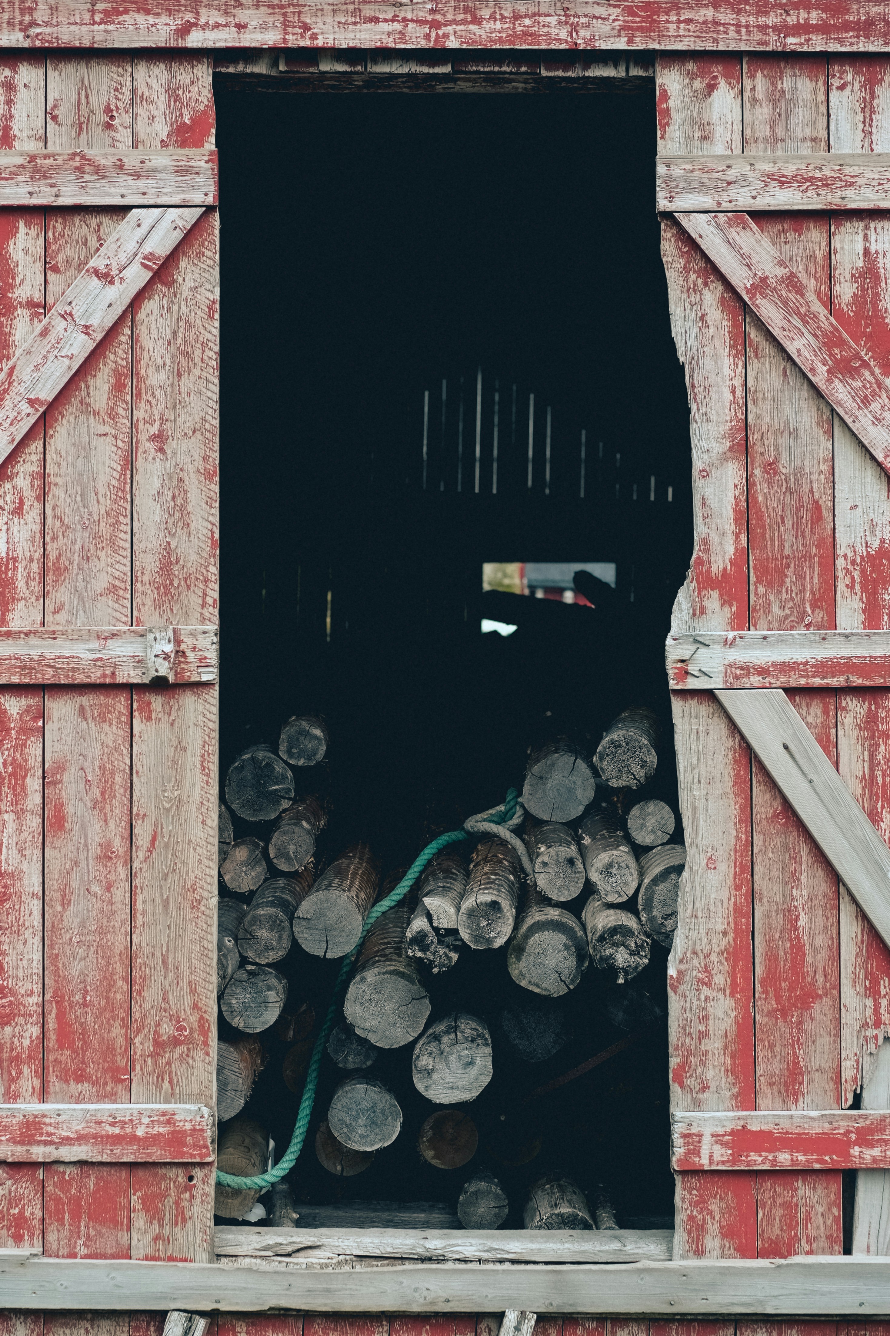 Το κυνήγι του θησαυρού
