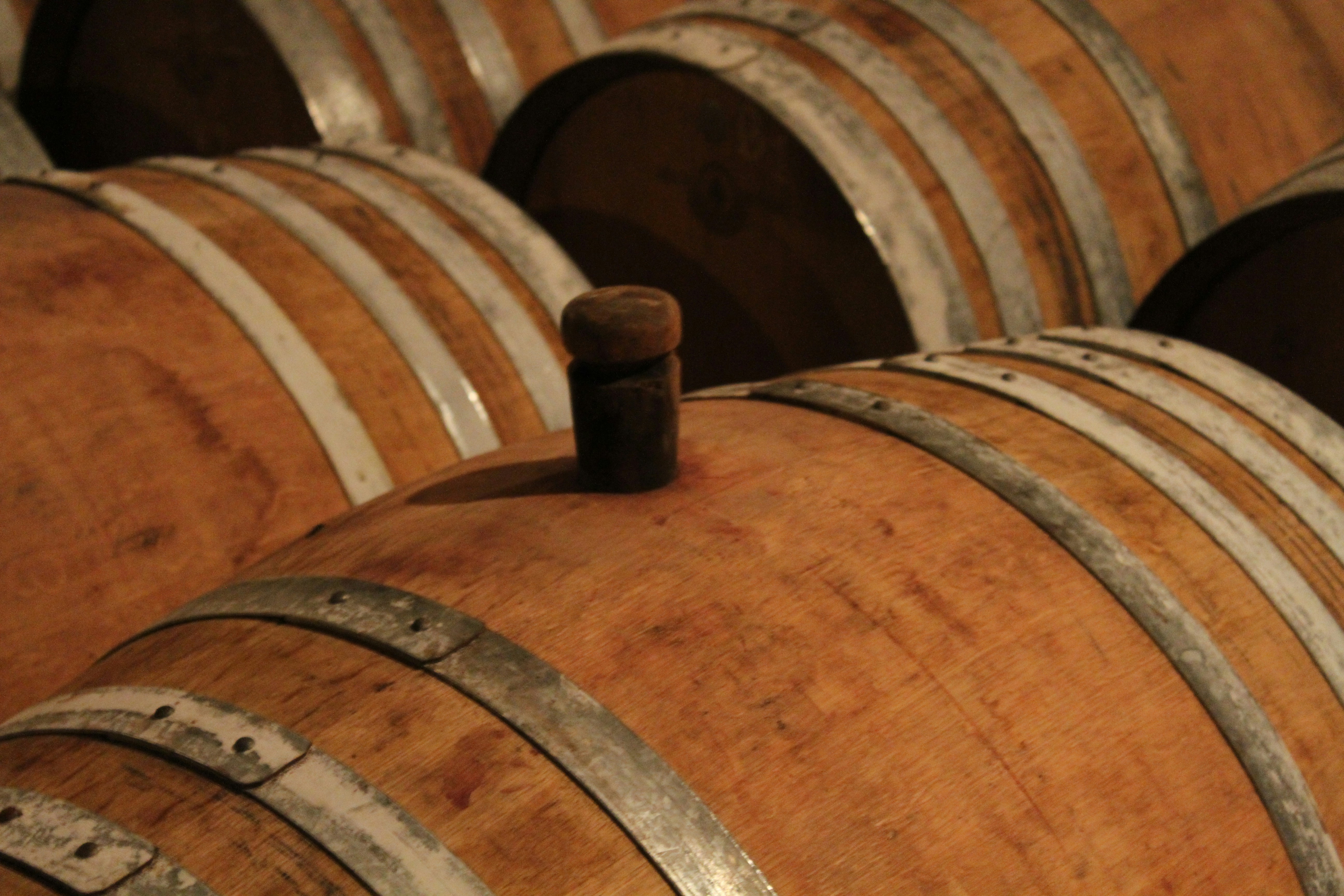 Οι ρετσίνες του Βασιλιά - Book review cover