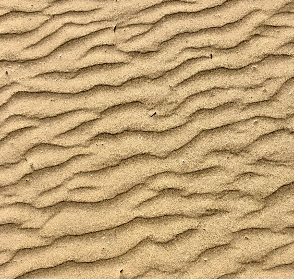 Κεχριμπαρένια Έρημος